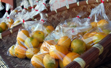 �R�Q�P�ٓ�