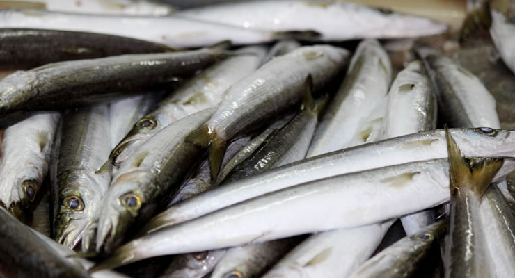 �y���E�匎�C�Y