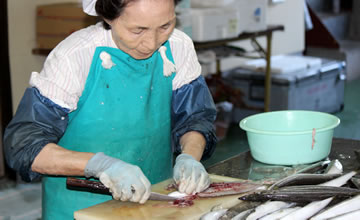 �y���E�匎�C�Y