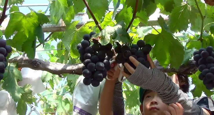 �ό��_������͂���