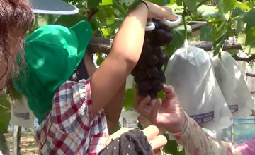 �ό��_������͂���