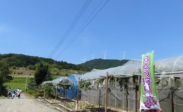 �ό��_������͂���