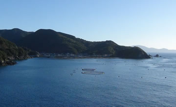 ���d�ې��Y