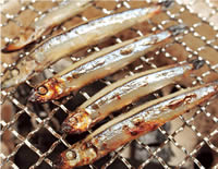 �܂̉����Ђ�