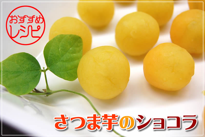 �������߃��V�s