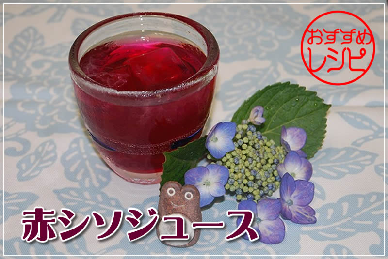 �������߃��V�s