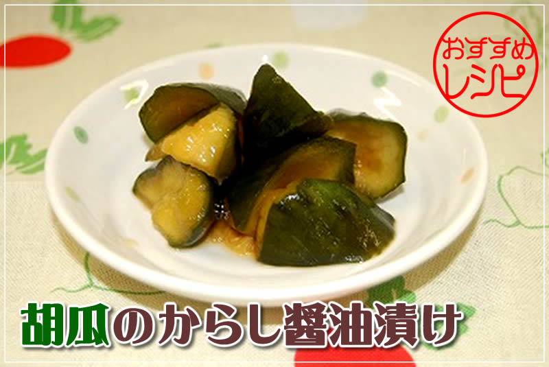 �������߃��V�s