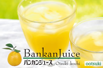 �o���J���W���[�X